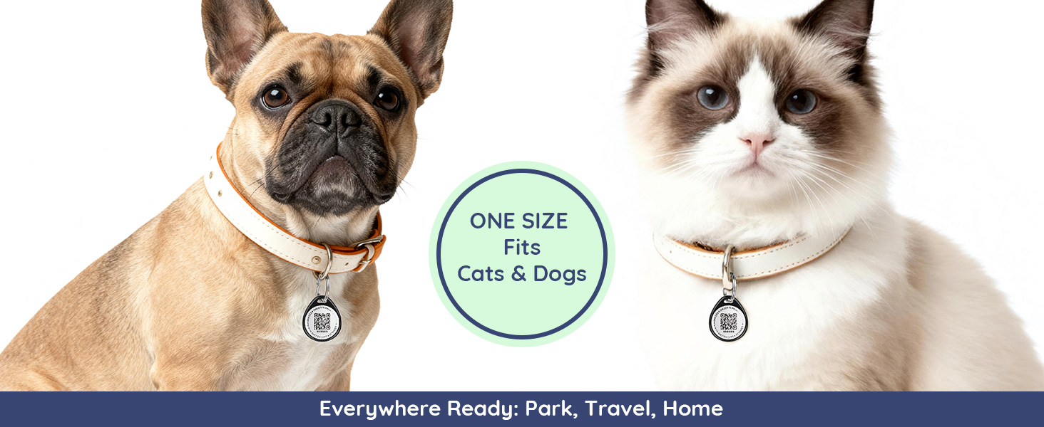 Smart ID dog tag and cat tag