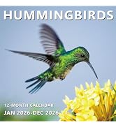 2026 Wall Calendar 12 Month, Nature Hummingbirds Large Wall Calendar 2026 from January to Decembe...