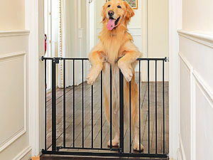 child gate pet gates baby gate with door baby gates extra wide baby gates for dogs
