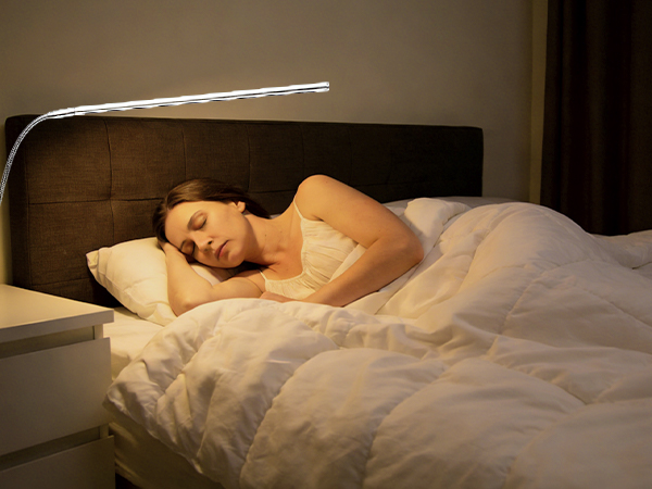 clip on light for desk