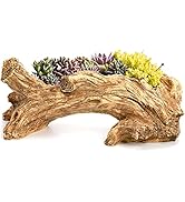 Hiceeden Artificial Driftwood Succulent Planter, Resin Tree Stump Sculpture Rustic Cactus Flower ...