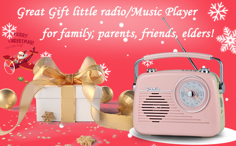 D216 portable radio Bluetooth speaker