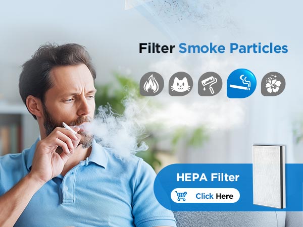 air purifiers for home