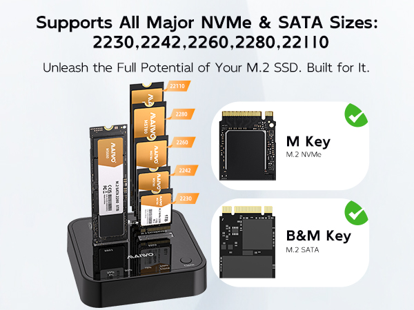 Dual M.2 NVMe SATA SSD Cloner 20Gbps USB 3.2 Gen 2x2 External SSD Offline Duplicator