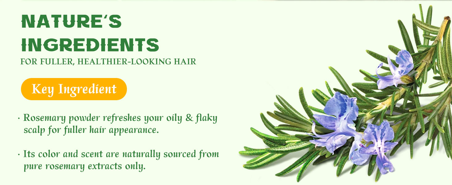 rosemary shampoo bar hair growth Oily Sensitive Itchy Thinning Dandruff Prone Scalp travel size