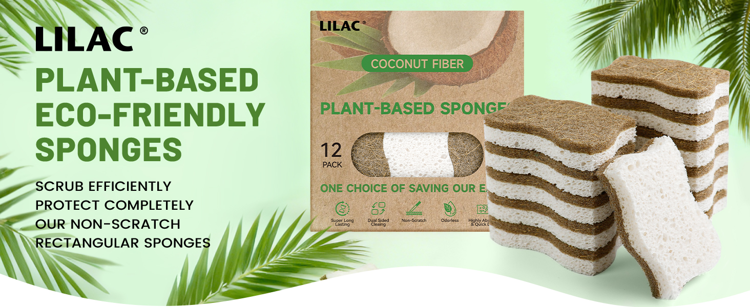 kitchen sponge