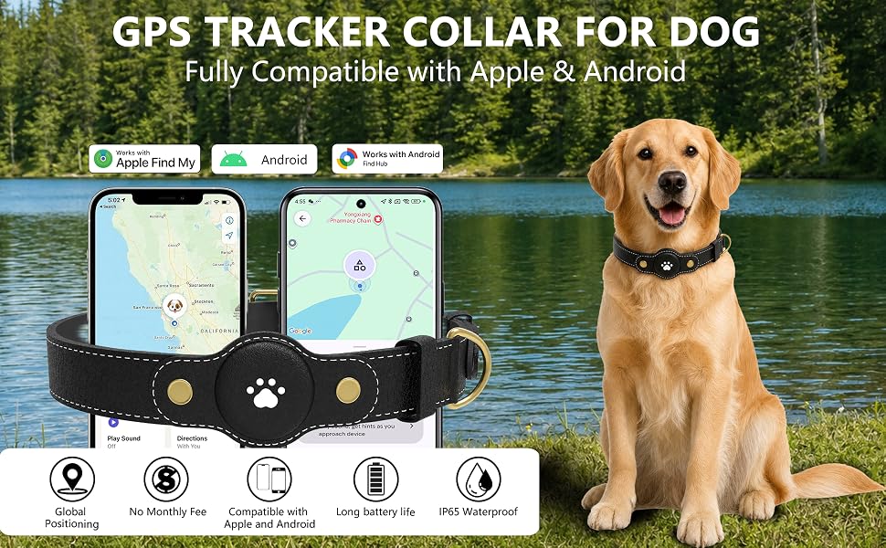 tractive gps for dog