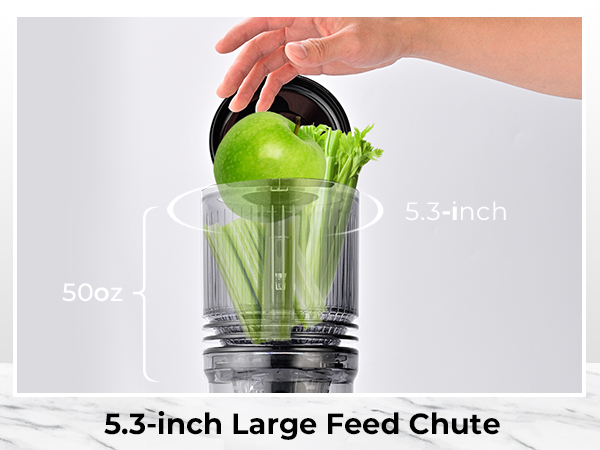 cold press juicer