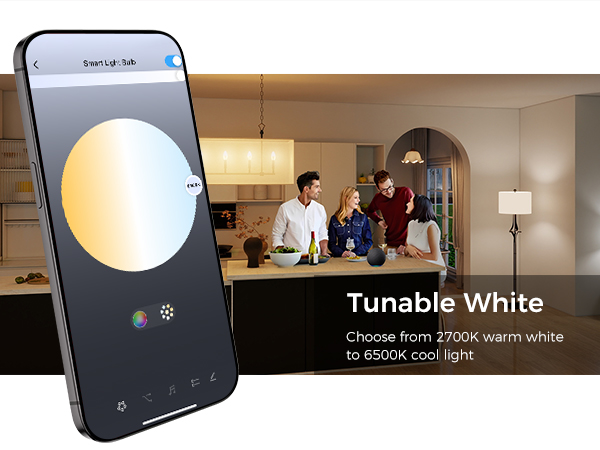 smart light bulbs e12