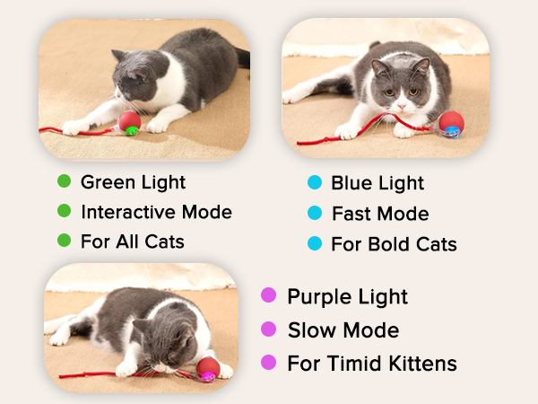 Interactive cat toy ball
