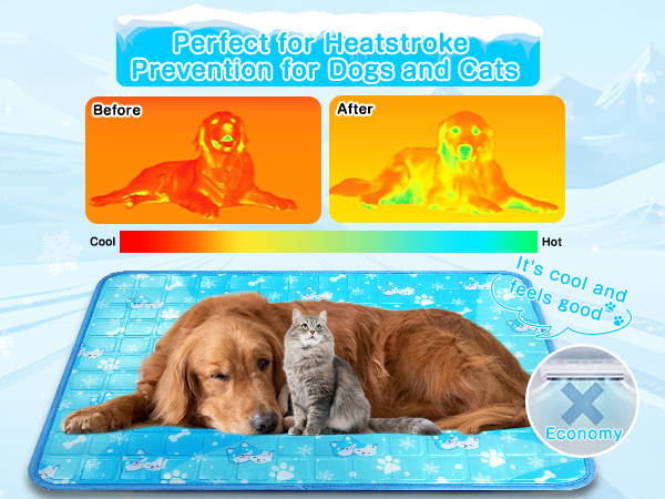 ice mat indoor