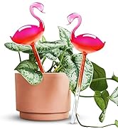 Self-Watering Glass Globes 2PCS Flamingo Gradient Hot Pink 10" Long Hand Blown Bulbs Pot Plant Wa...