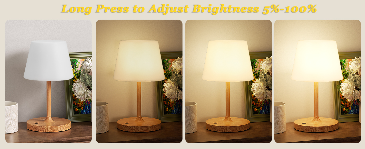 rechargeable lamp shower lamp