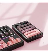 EWEADN NK20 Wireless Retro Mechanical Numpad with Knob, Bluetooth/2.4GHz/USB-C Connect with RGB B...
