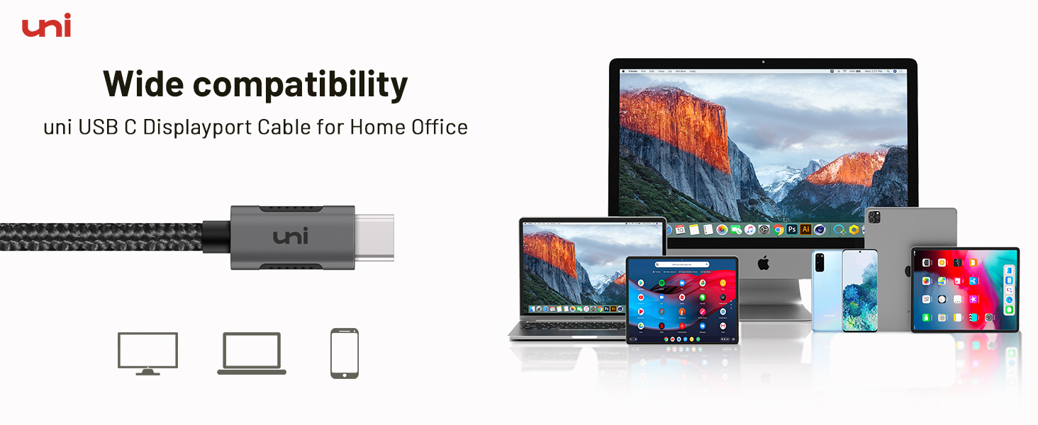 USB C to DisplayPort Cable