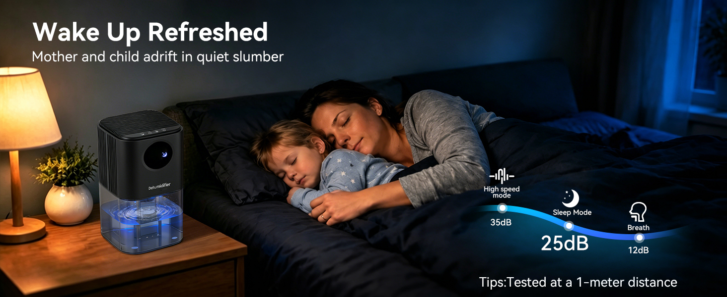 Dehumidifier