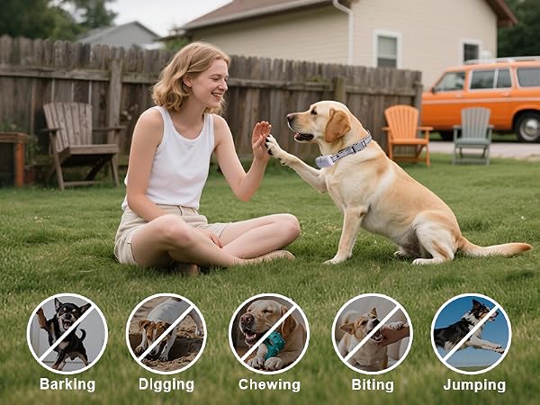 dog training collar with remote