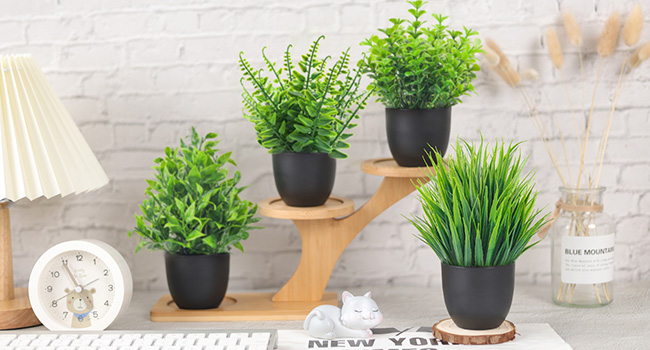 plants for bedroom decor