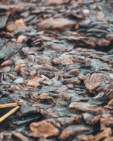 Portable Bluetooth Speaker