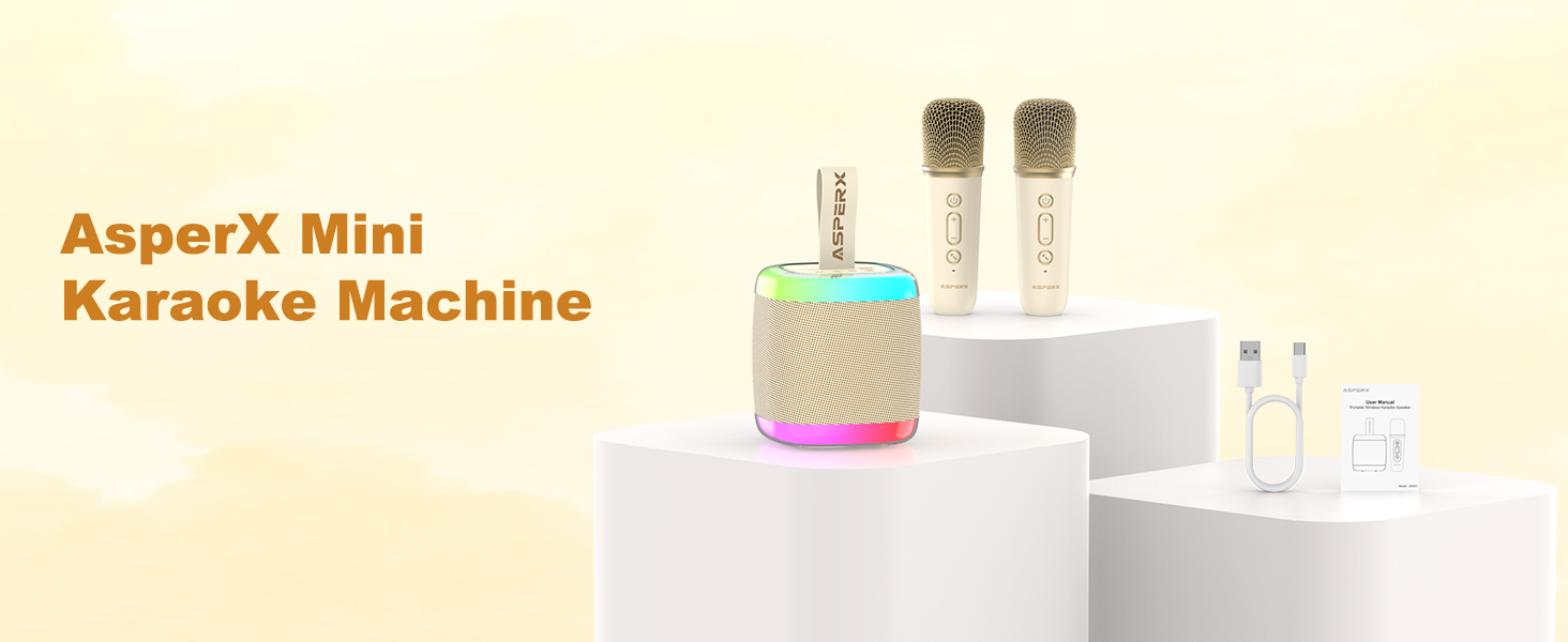 karaoke machine for adults
