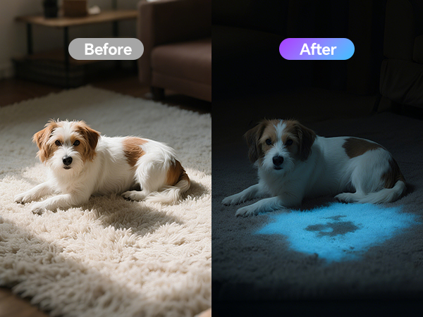 Pet Urine Detection