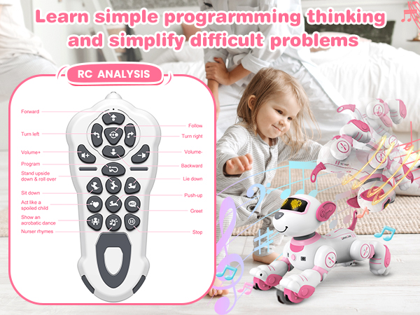 remote control dog toys