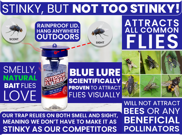 Flies attracted by visual lure and the scent of the bait making this the best fly trap for outside
