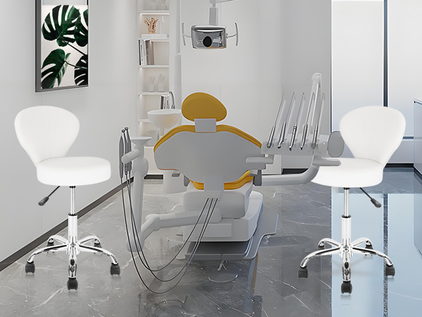 Rolling Swivel Salon Stool Chair with Back Support Adjustable