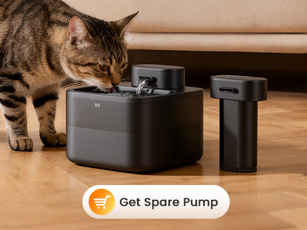 Buy Spare Motor