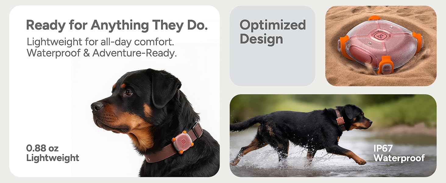 dog tracker