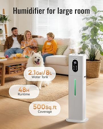 Humidifier