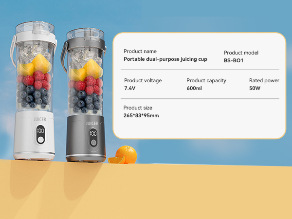 Personal electric juicer8