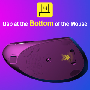 computer mouse