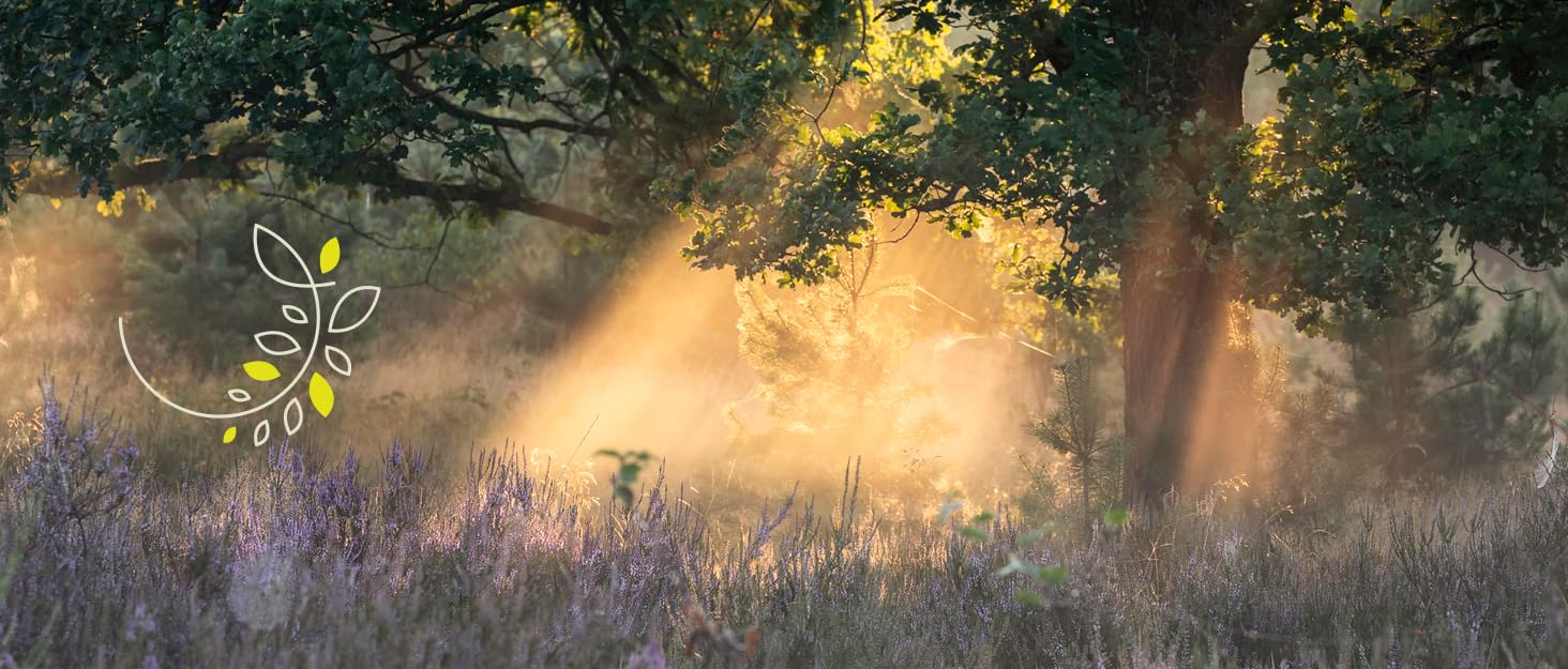 Hearth &amp;amp; Harbor Brand Story June 2024 Background