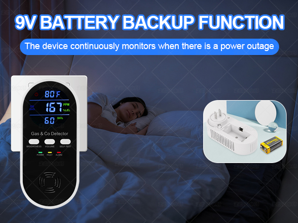 Natural gas detector and carbon monoxide detectors