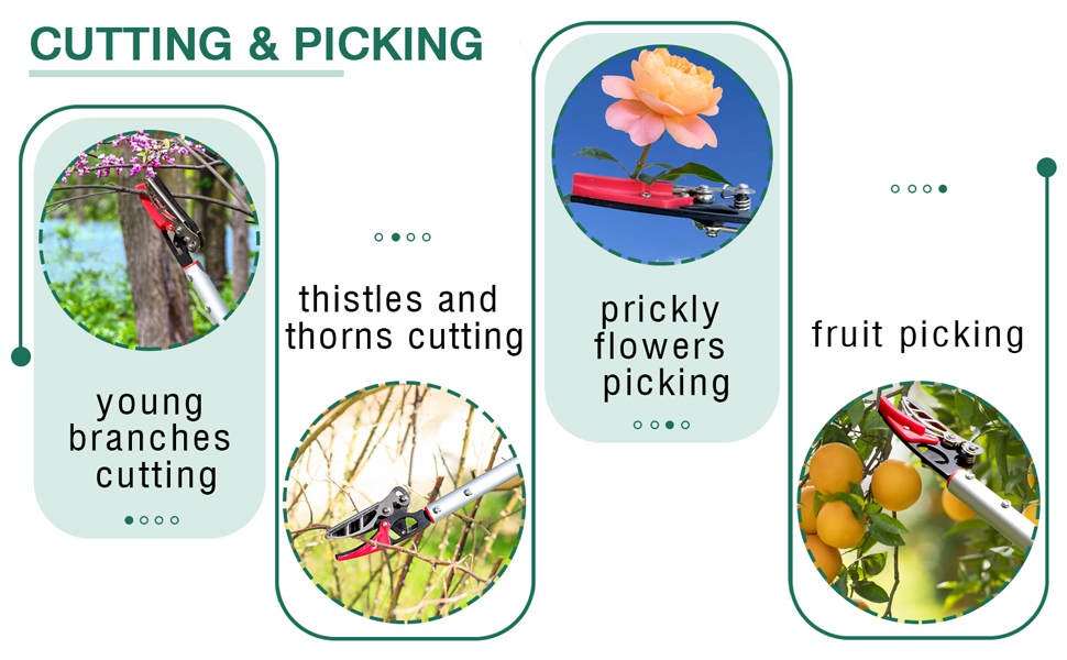 cut and hold pruner