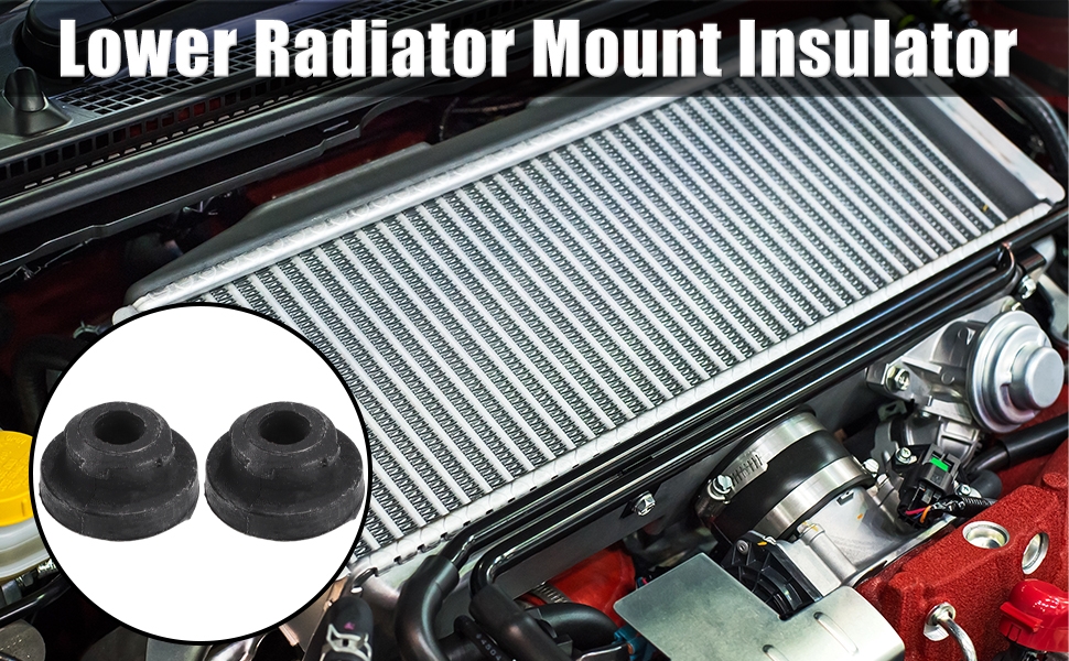 Standard Image Header With Text