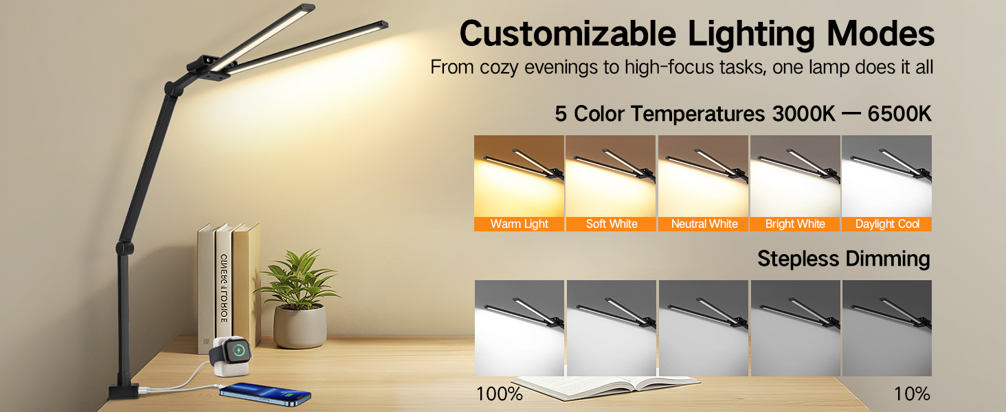 Desk Lamp with Clamp