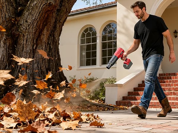 Yard Cleaning