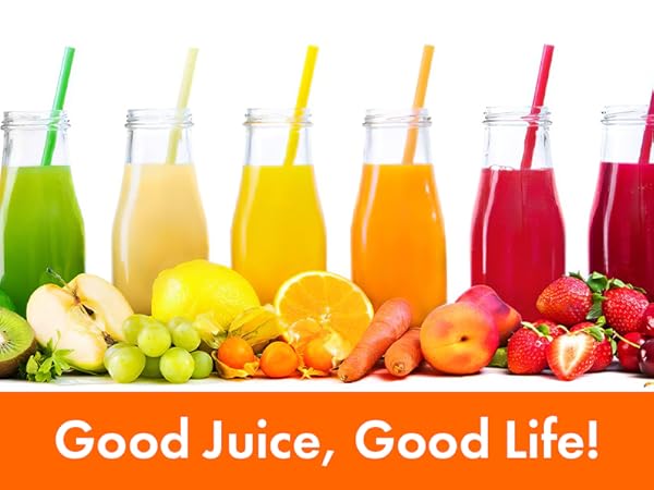 Masticating Juicer Attachment for KitchenAid Stand Mixer