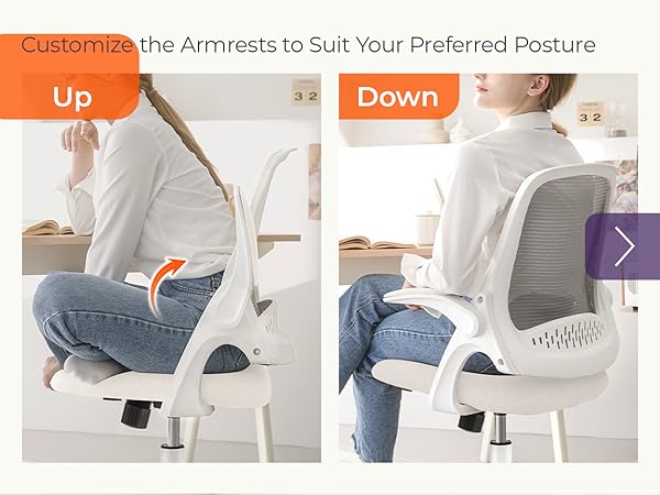 Desk Chair with Customizable Armrests