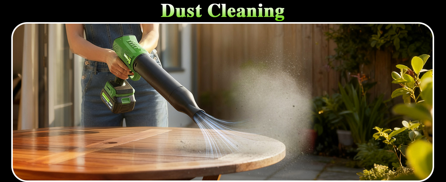 Dust Cleaning