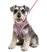 Eagloo Small Dog Harness and Leash Set, Step in Puppy Vest with Breathable Soft Mesh, Walking Ref...