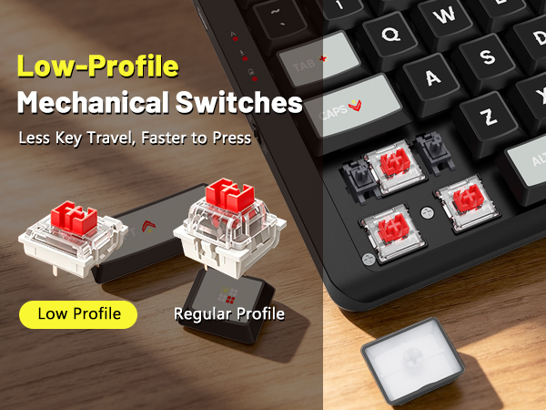 Low profile Mechanical Switches
