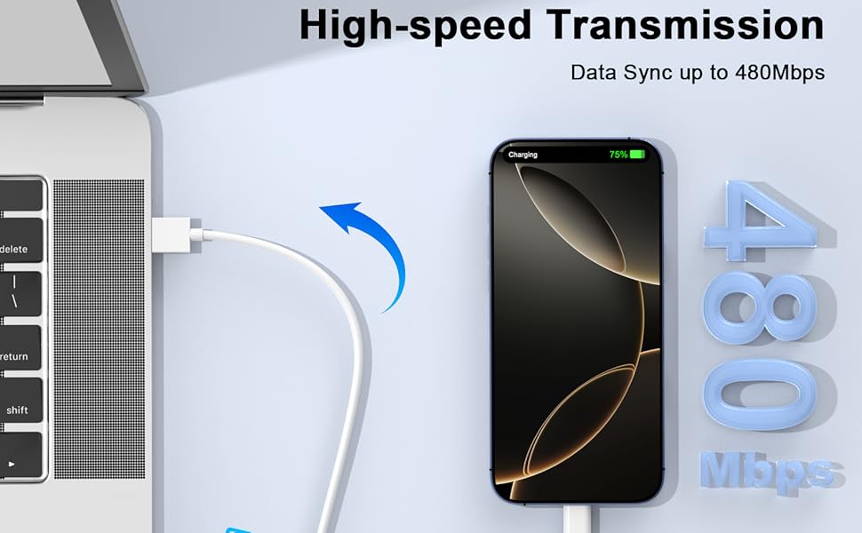 6FT Extra Long Carplay Cable