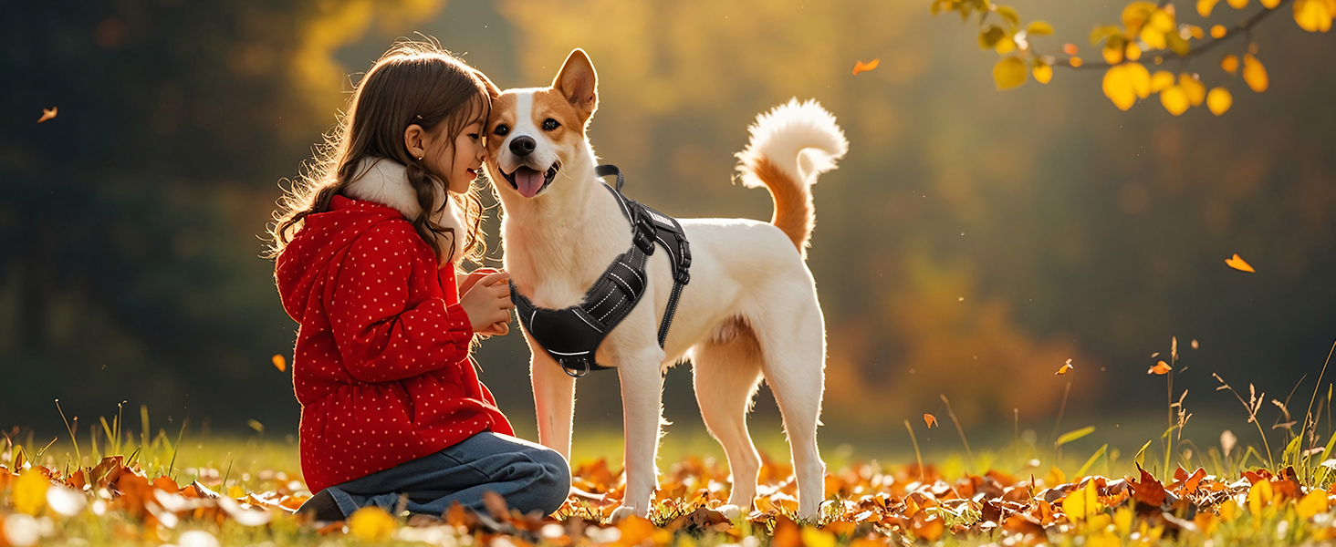 tactical dog harness black for small dogs