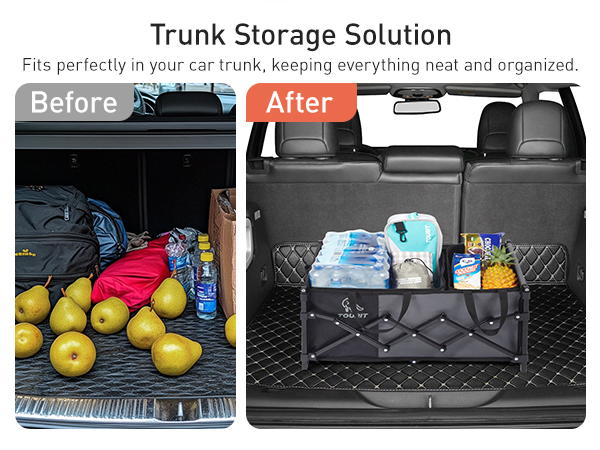 Trunk Storage Solution