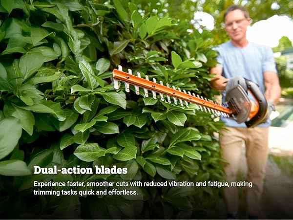 Dual Action Blade