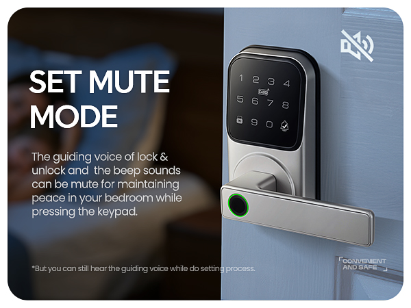 Smart Door Lock with Handle