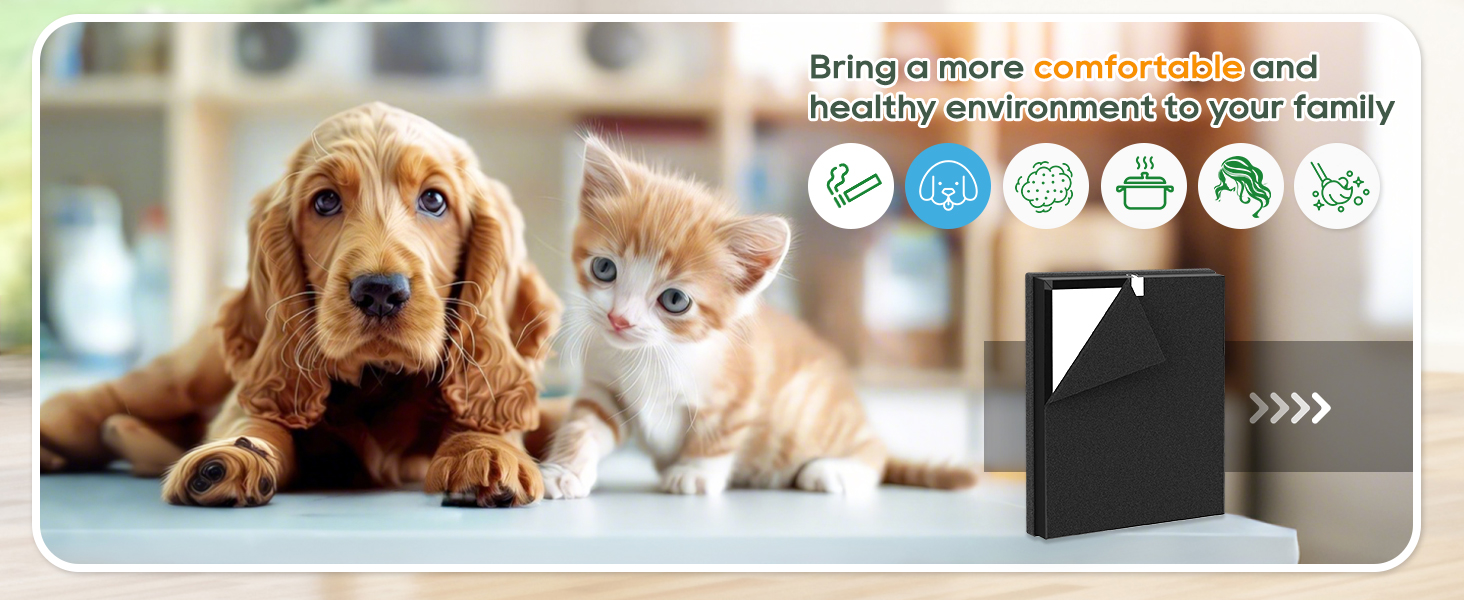 Bring a more comfortable and healthy environment to your family